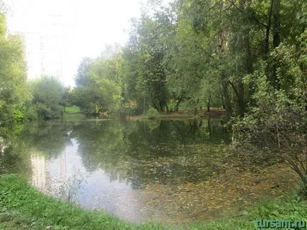 Vorontsov Park Moszkva közelében található, fotók, irányokat, nyitva tartás, a hivatalos