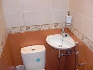 Маленька раковина для туалету особливості правильного вибору і поради по установці (туалету) Маленька раковина для туалету особливості правильного вибору і поради по установці