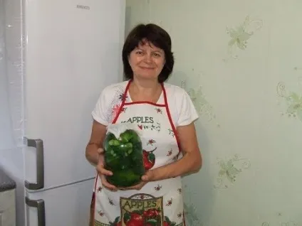 Малосольний огірок - калорійність на 100 грам, склад і способи приготування огірків