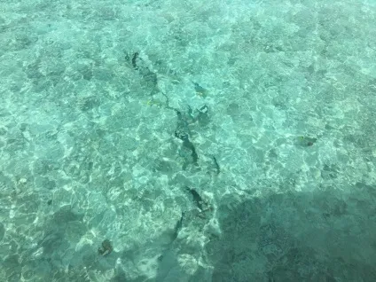 Мальдіви будиночки на воді (water villas) - добре чи ні