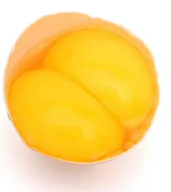 Ou cu două gălbenușuri