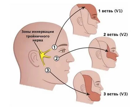 Клопка на лицевия нерв симптомите и лечението на лезии