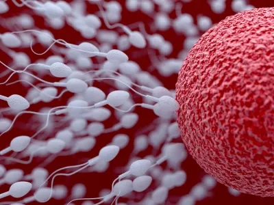 Течни сперма защо сперма е станал такъв, възможни болести, лечение, как да се направи