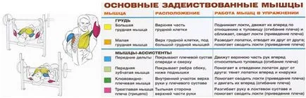 Жим штанги лежачи