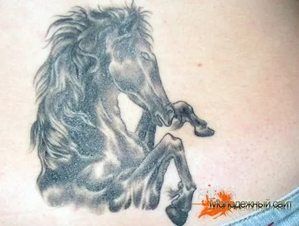 Înțeles horse tatuaje - poze tatuaj