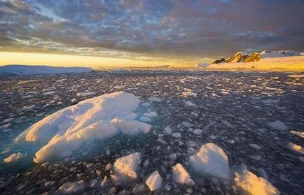 20 elképesztő tényeket Antarktiszon, ami nem sokan tudják (21 fotó)