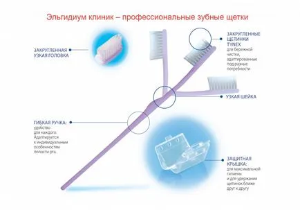 5 Митове за четки за зъби, или добра четка за зъби не е лукс, а средство за хигиена