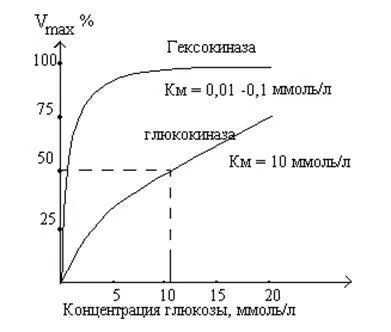 аеробна гликолиза