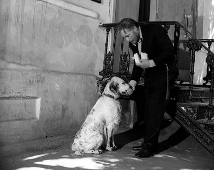 9 filme sovietice care au fost nominalizate pentru „Oscar“ câine Schrödinger