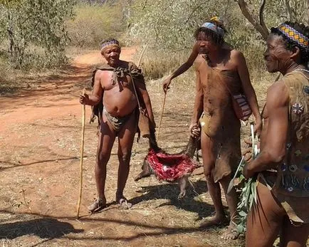 Ausztrál bennszülöttek érdekes tény szól australia