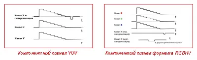 Semnale componente Anatomy - o parte i