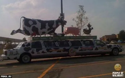 Americanii într-un supermarket (108 poze), bancuri, imagini, fotografii și desene!