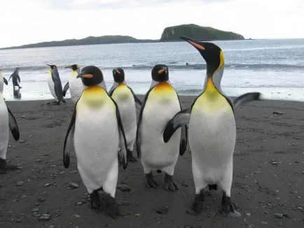 Antarctica 2007-2008