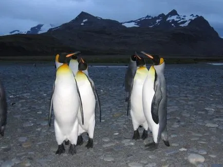 Antarctica 2007-2008