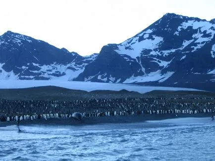 Antarctica 2007-2008