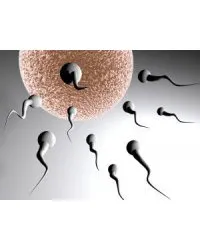 Biokémiai használt vagy miért embriók meghalni