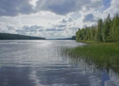 Марціальні води, Карелія (Карелія) Марціальні води, Карелія