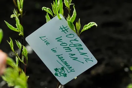 Мас-маркет vs organic розбираємося в дезодорантах, organicwoman (розбираємося) Мас-маркет vs organic розбираємося в дезодорантах, organicwoman