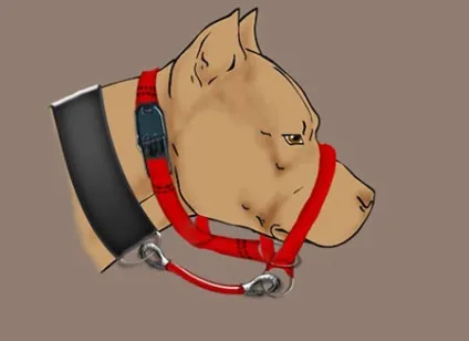 Робимо вихованцеві зручний недоуздок - dogcollar - амуніція і аксесуари для собак