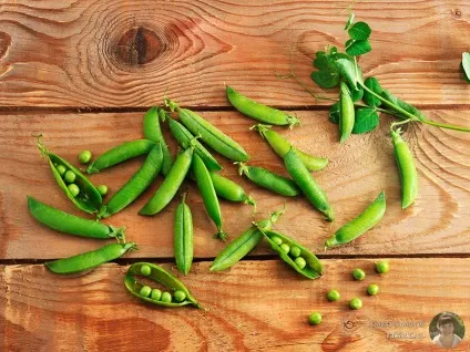 Маринований горошок в домашніх умовах - рецепти (маринований) Маринований горошок в домашніх умовах - рецепти