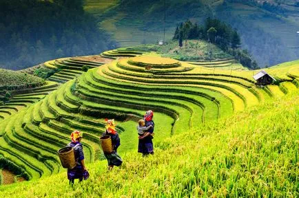 Mit turisták visszatérjen Thaiföld