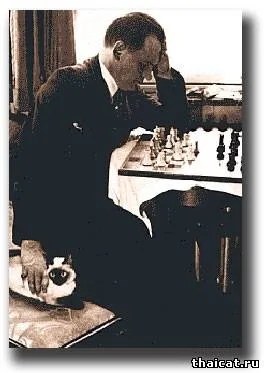 Șah - Cat Aleksandra Alehina