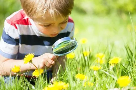 Ce să ia un copil pentru a observa insecte natura