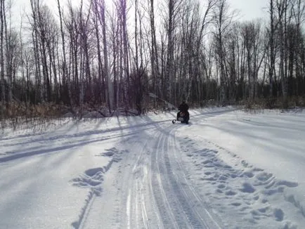 Snowmobile Dingo Irbis (Dingo zăpadă leopard) T125 sau „câine în nord“, excursii de pescuit, taxa de pescuit,