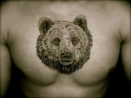 Mit jelent medve tetoválás