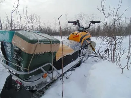 Snowmobile Dingo Irbis (Dingo zăpadă leopard) T125 sau „câine în nord“, excursii de pescuit, taxa de pescuit,