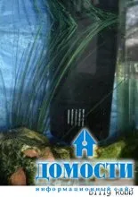 Декорації для акваріуму своїми руками