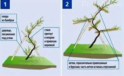 Design de vară cu tehnici exotice pentru a crea modelarea arborelui de copaci