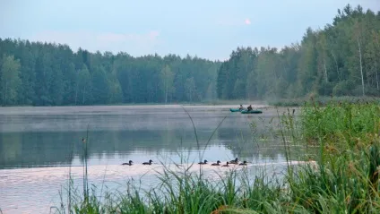 ведмежі озера