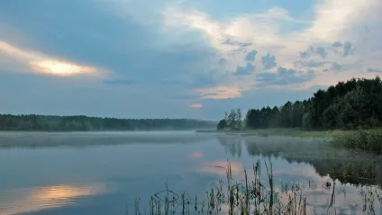 ведмежі озера
