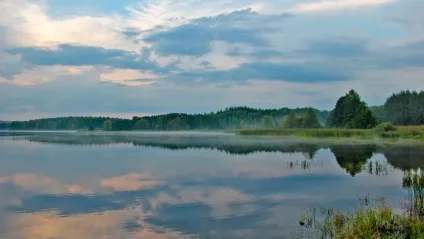 ведмежі озера