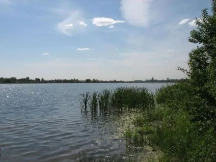 Ведмежі озера », Щолковський район відпочинок, рибалка, відгуки (ведмежі озера Щолковський район Щолковський район московської області ведмеже озеро Київська область) Ведмежі озера », Щолковський район відпочинок, рибалка, відгуки