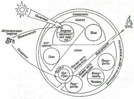 sistem ecologic