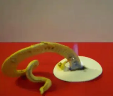 Fáraó kígyók szórakoztató kémia