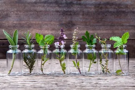 Ezek a zöldségek és gyógynövények nőhet magukat a konyhában egy pohár vízben