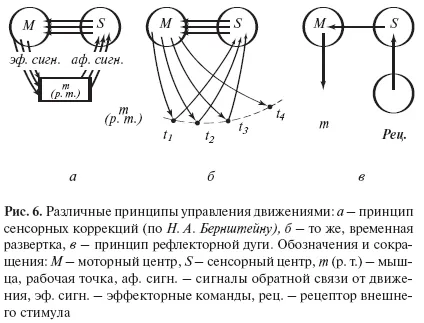 Преместване физиология и активност физиология