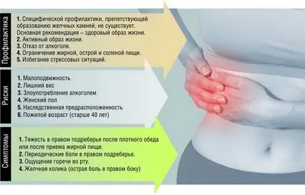 Hol van az epehólyag az emberi anatómia, hely, struktúra