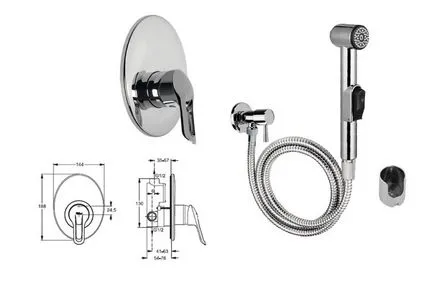 Igienă tipuri de duș de toaletă, proiectare, tehnologie de instalare