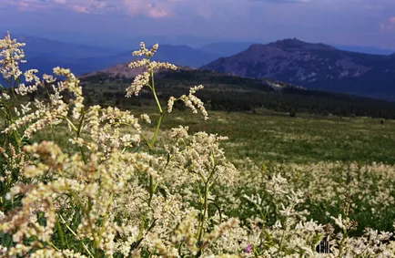 A Mount Iremel koordinálja és fotók, mit kell látni, és ahol a Mount Iremel