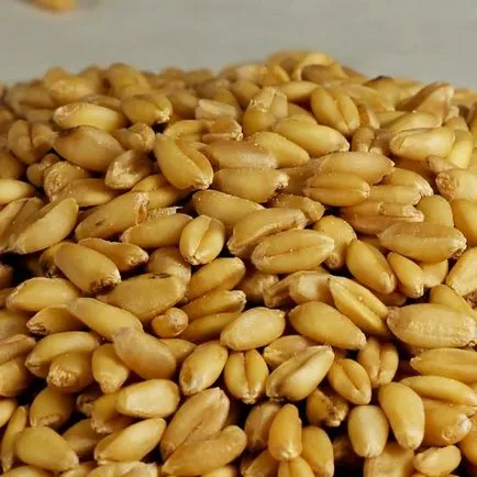 Глутенът на зърнени култури