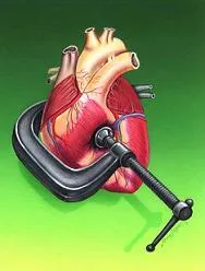Ciuperci în hipertensiune arterială - Tratamentul Heart