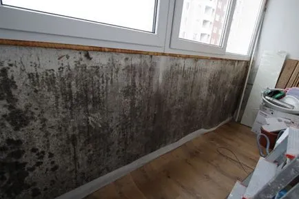 Mucegaiuri pe pereți și tavanul balcon și loggia ce să facă și cum să scape