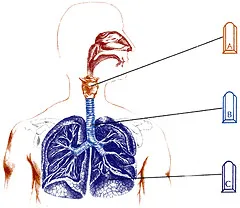 Inhalatorul pisică compresor copil