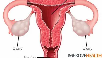 Care ar putea fi consecințele după înlăturarea trompelor uterine