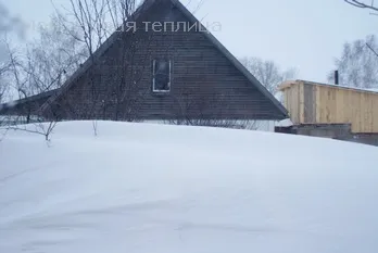 Багато снігу, мало снігу ... що краще для рослин (багато) Багато снігу, мало снігу ... що краще для рослин