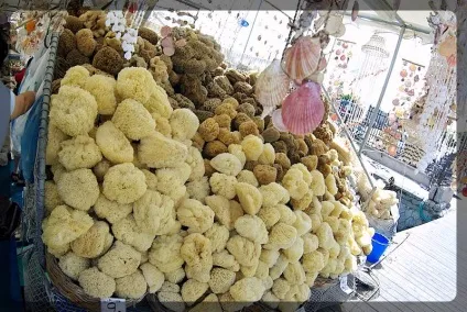 Мочалки з морських губок (губок) Мочалки з морських губок